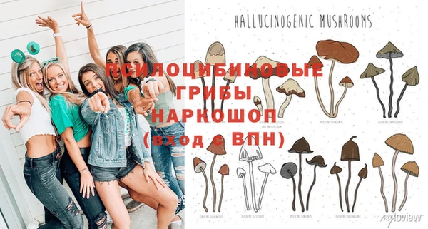 ГАЛЛЮЦИНОГЕННЫЕ ГРИБЫ Белокуриха