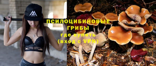 спайс Протвино