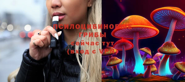 ГАЛЛЮЦИНОГЕННЫЕ ГРИБЫ Белокуриха