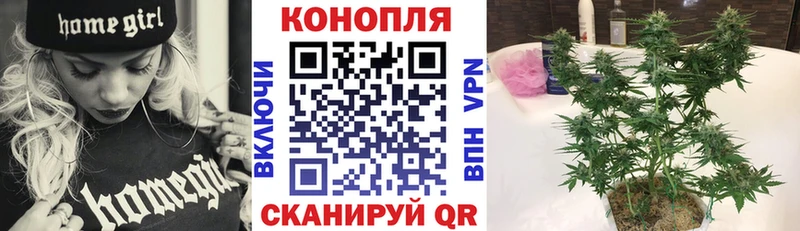 мега ССЫЛКА  Бологое  Бошки Шишки семена 